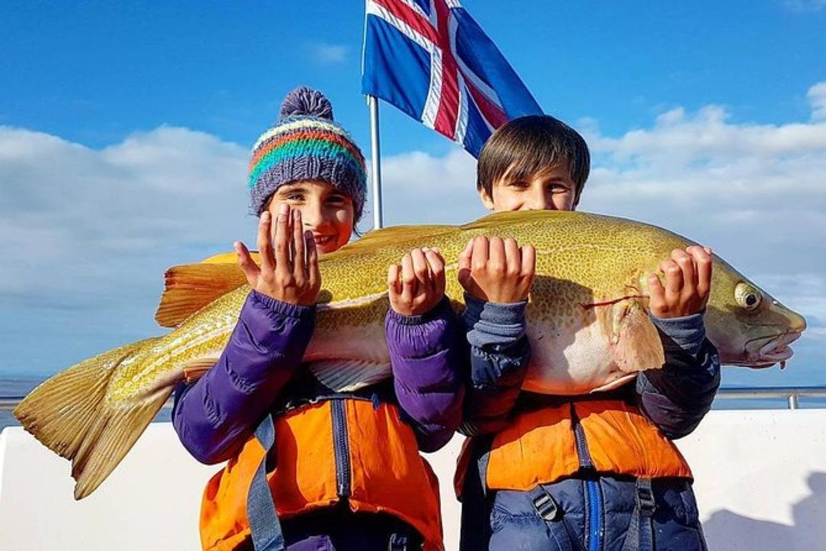 Sortie de pêche en mer au départ de Reykjavik
